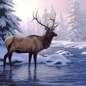 Meet your Posher, Rafael